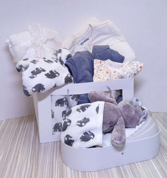 嬰兒搖籃曲套裝(藍色)