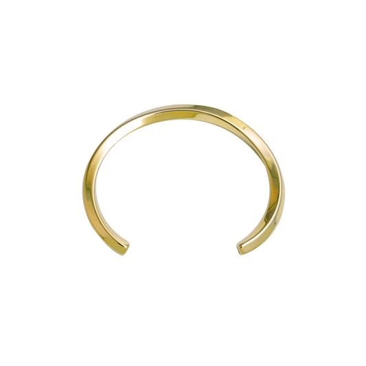 Stainless Steel Bangle (IPG) B1102B-S-4mm-IPG