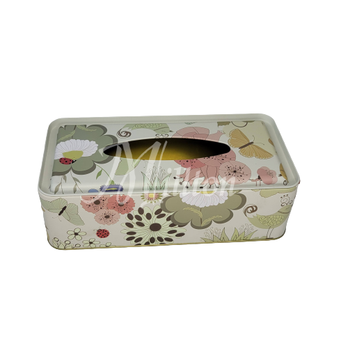 Rectangular Tissue Box with Hole