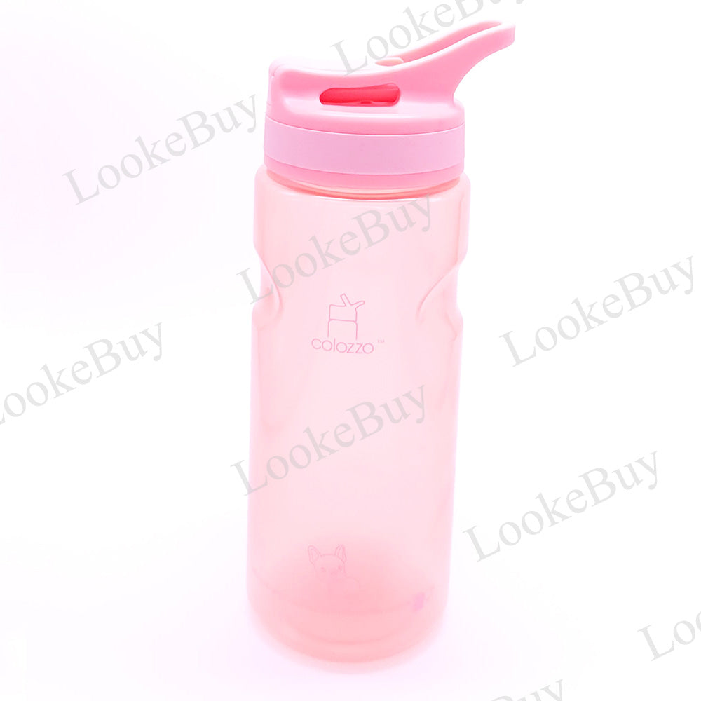 Antimicrobial Bottle BPA Free 550ml