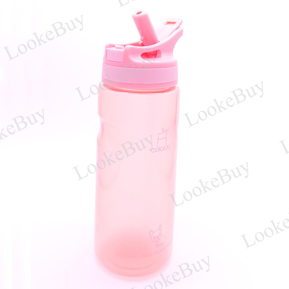 Antimicrobial Bottle BPA Free 550ml