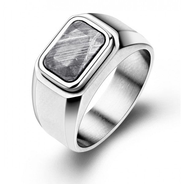 Titanium Silver Ring